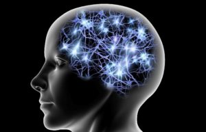 Cervello e Mente sono la stessa cosa?