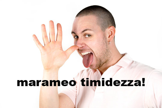Marameo Timidezza